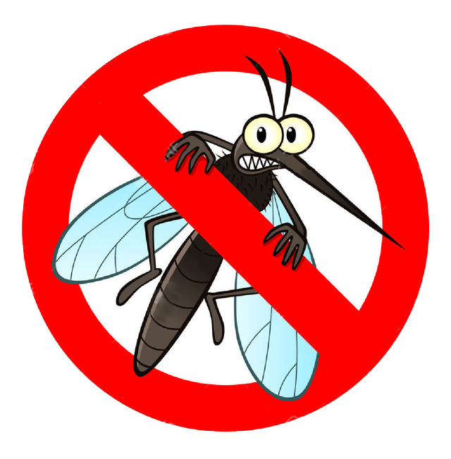 Lire la suite à propos de l’article 5 astuces naturelles pour éviter une visite de moustique chez vous